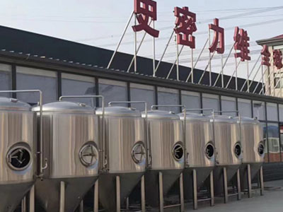 民丰精酿啤酒设备厂—如何判断精酿啤酒设备的密封件需要更换？